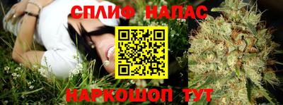 молекула духа Заводоуковск