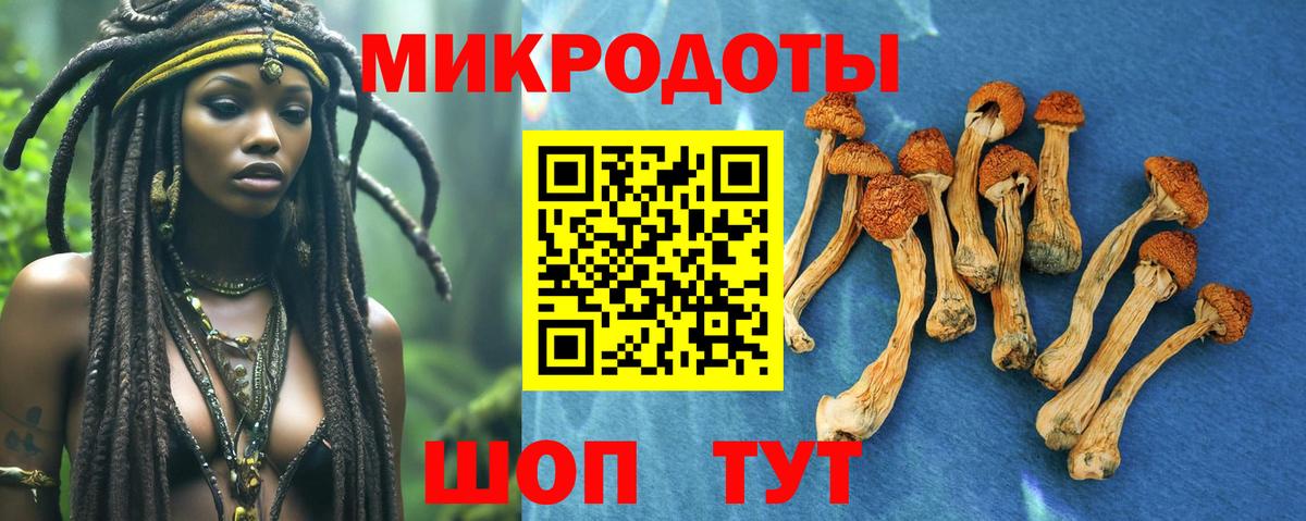 Галлюциногенные грибы ЛСД  Вход с VPN  Кумертау  Галлюциногенные грибы мухоморы 